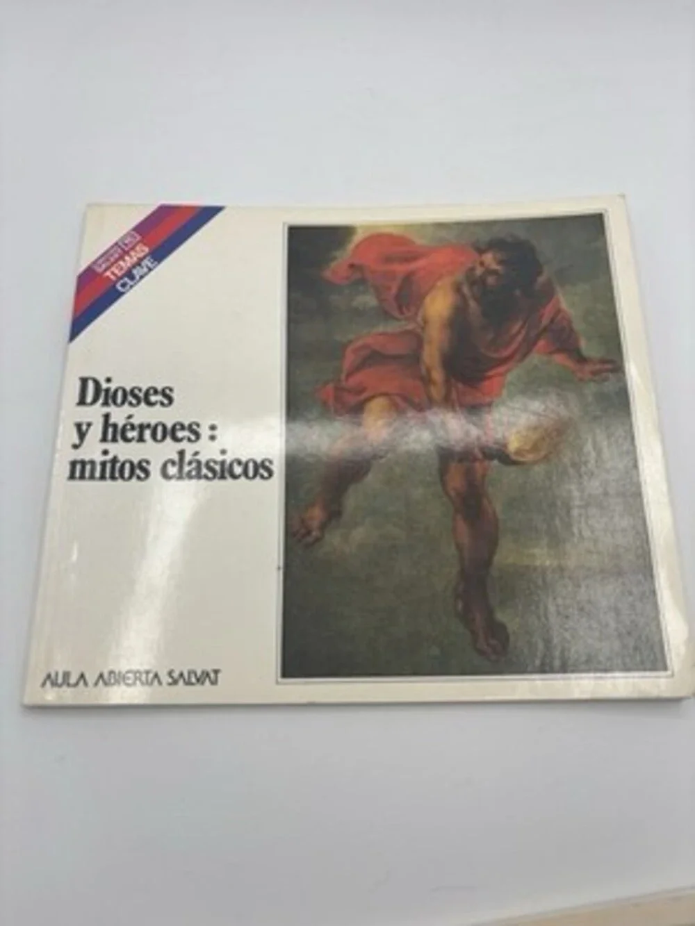 Aula Abierta Salvat Temas Clave Spanish Nonfiction Set Illustrated Valverde Lot
